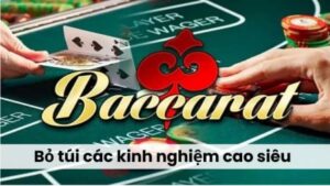 Bỏ túi các kinh nghiệm cao siêu