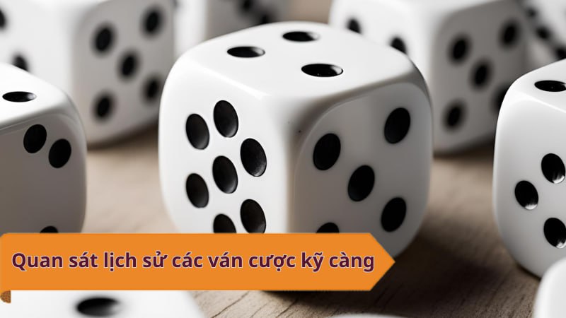 Quan sát lịch sử các ván cược kỹ càng